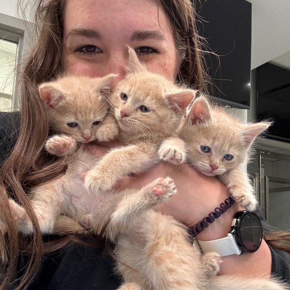 Meet your Posher, Alanna - Picture 1 of 1